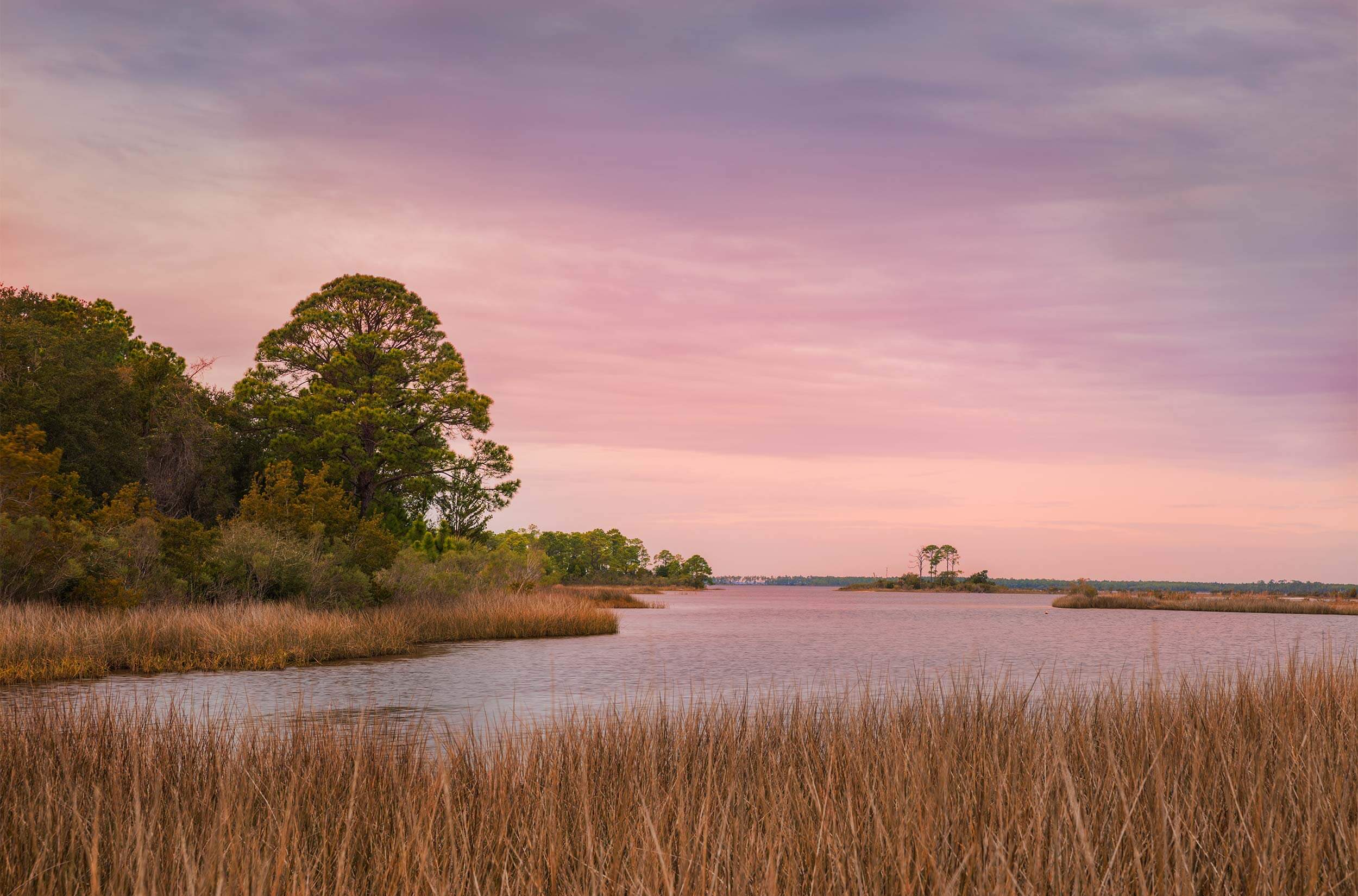 The Residences at Sweetbay